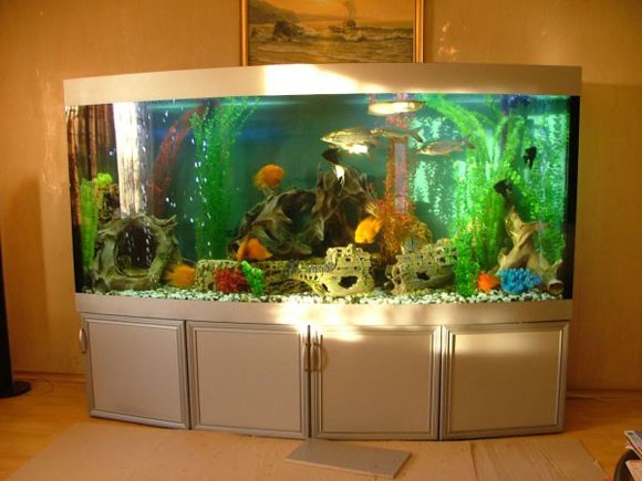 Как правильно установить аквариум