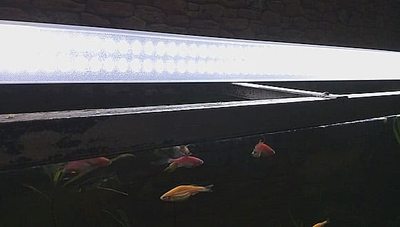 Светодиодный светильник «Призма» для аквариума